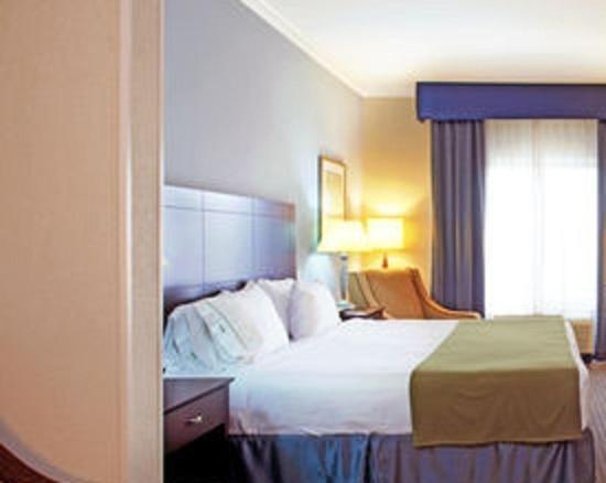 Holiday Inn Express Hotel & Suites New Iberia - Avery Island by IHG photo 12