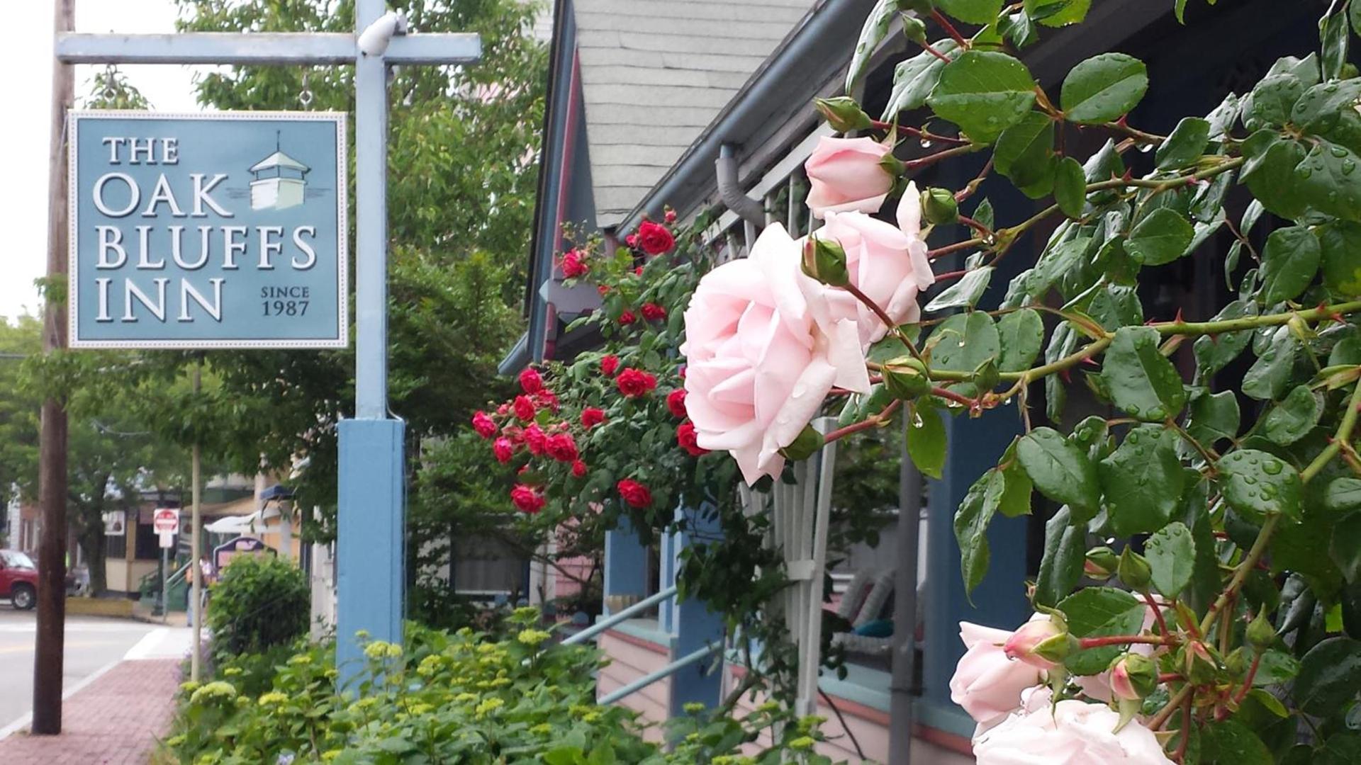 The Oak Bluffs Inn photo 7