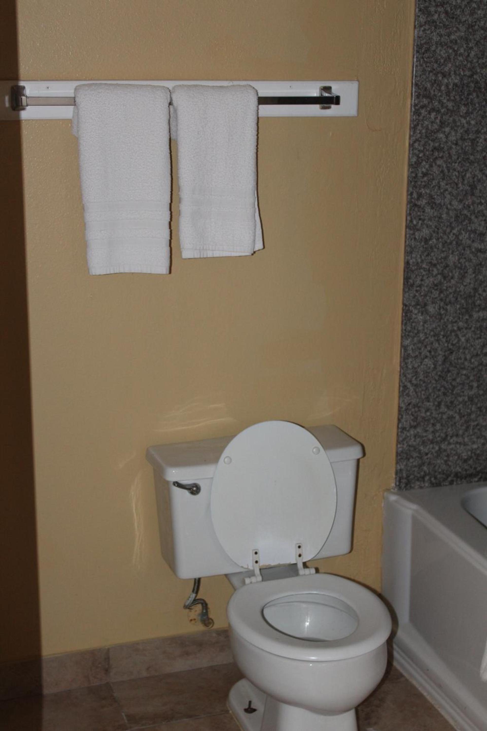 The Executive Inn & Suites photo 84