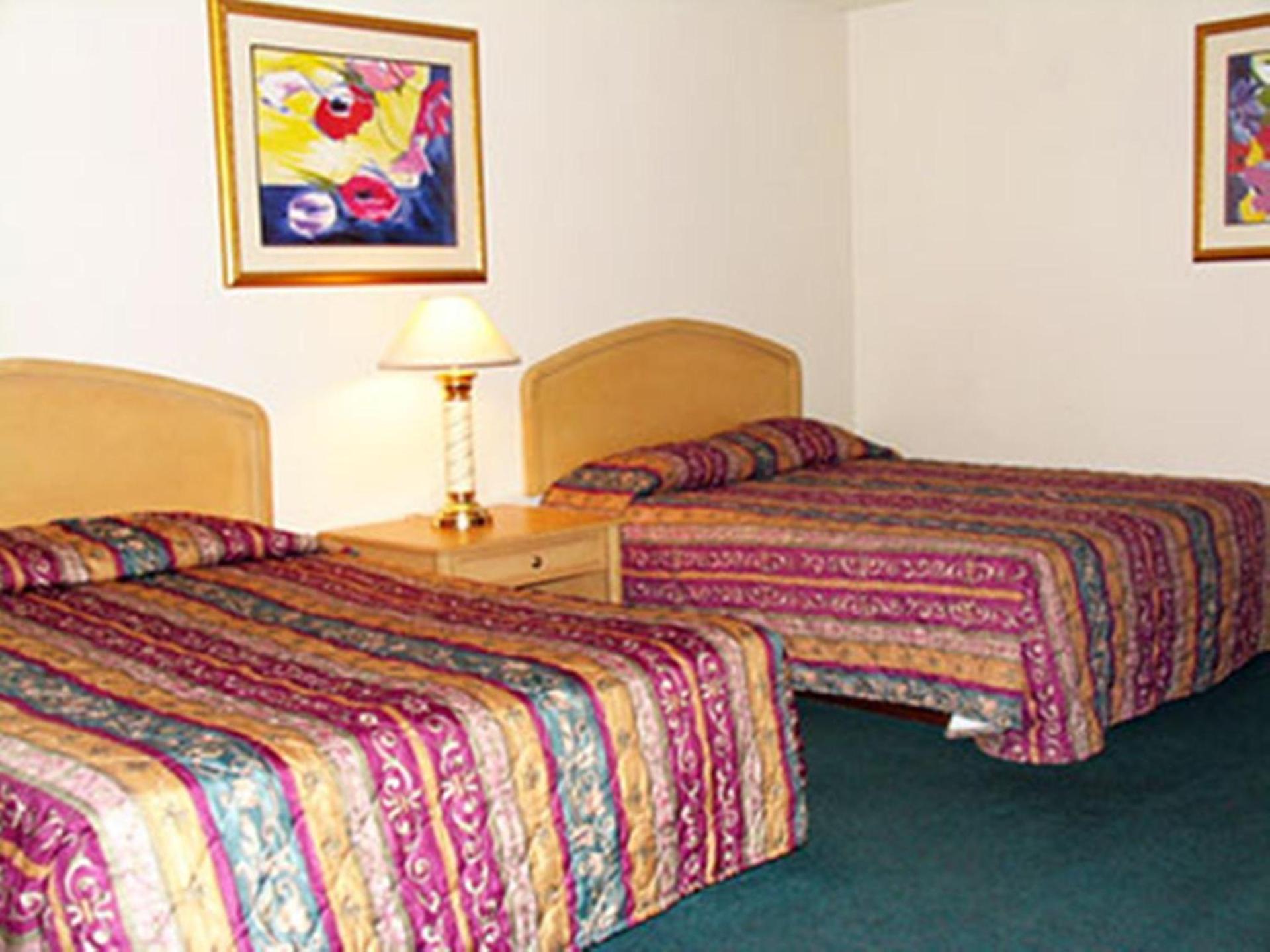 Grapevine Inn photo 8
