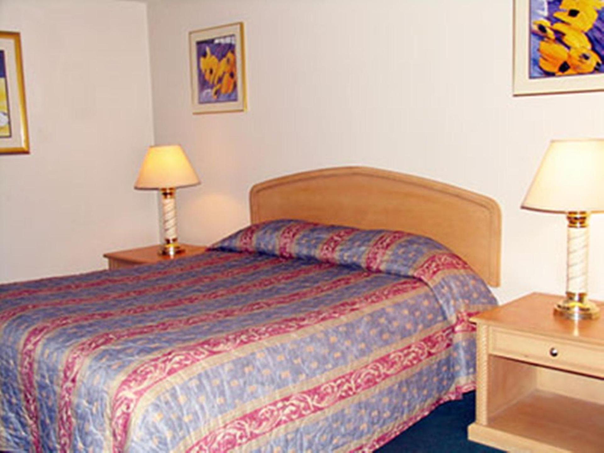 Grapevine Inn photo 3
