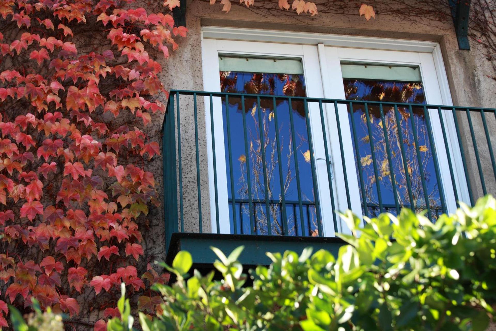 Southbridge Napa Valley photo 29