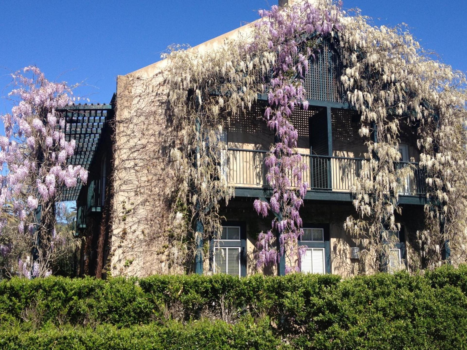 Southbridge Napa Valley photo 24