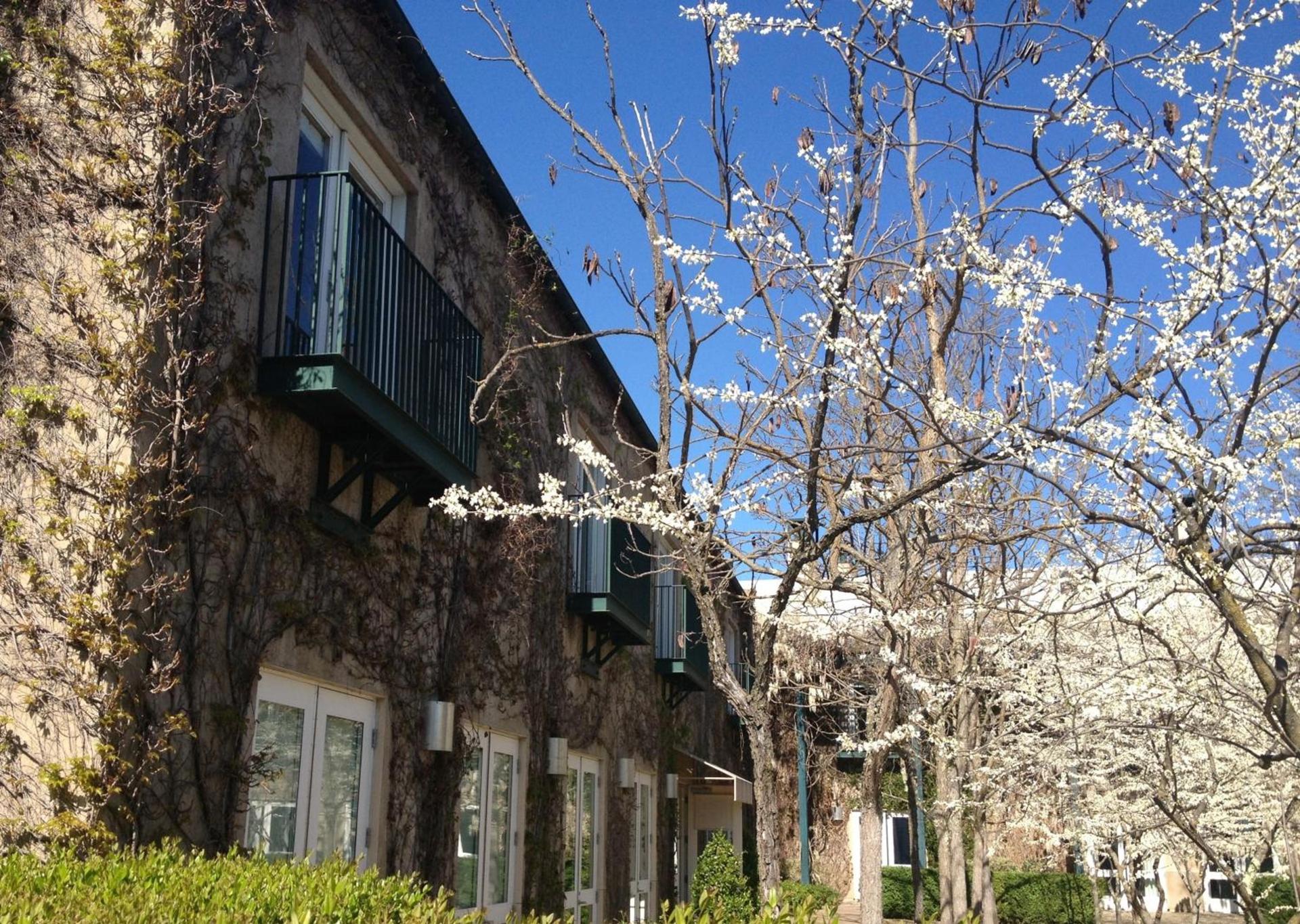 Southbridge Napa Valley photo 31