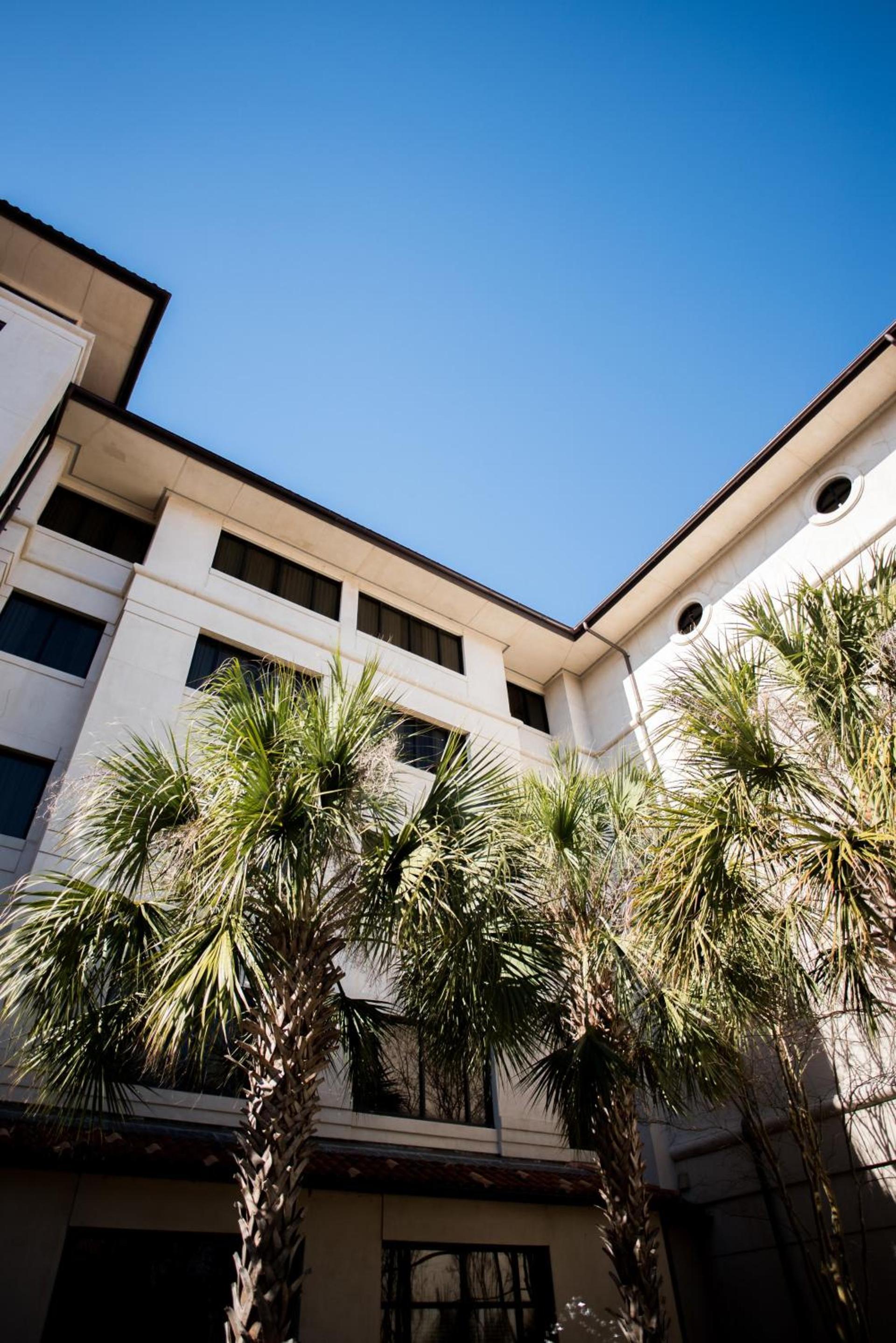 The Cook Hotel and Conference Center at LSU photo 8