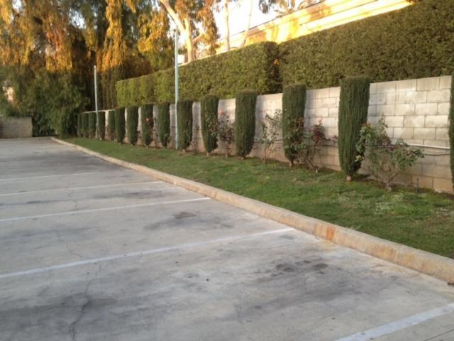 All 8 Motel photo 26