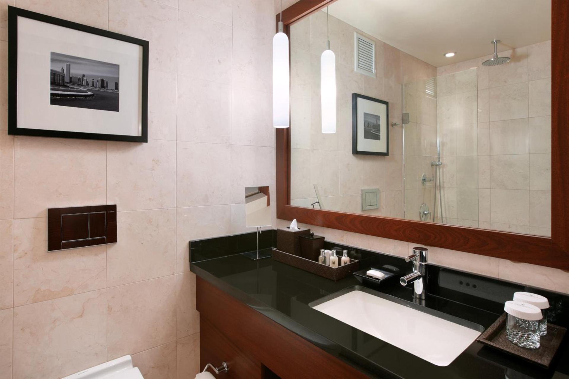 Millennium Hotel Knickerbocker Chicago photo 15