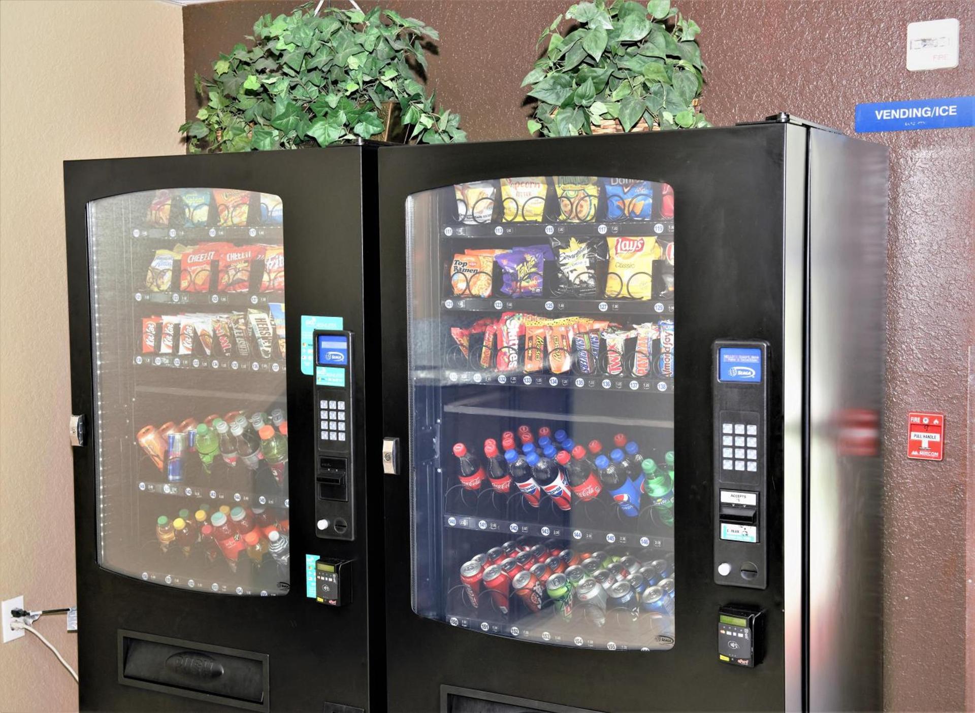 Microtel Inn & Suites by Wyndham Jacksonville Airport photo 25