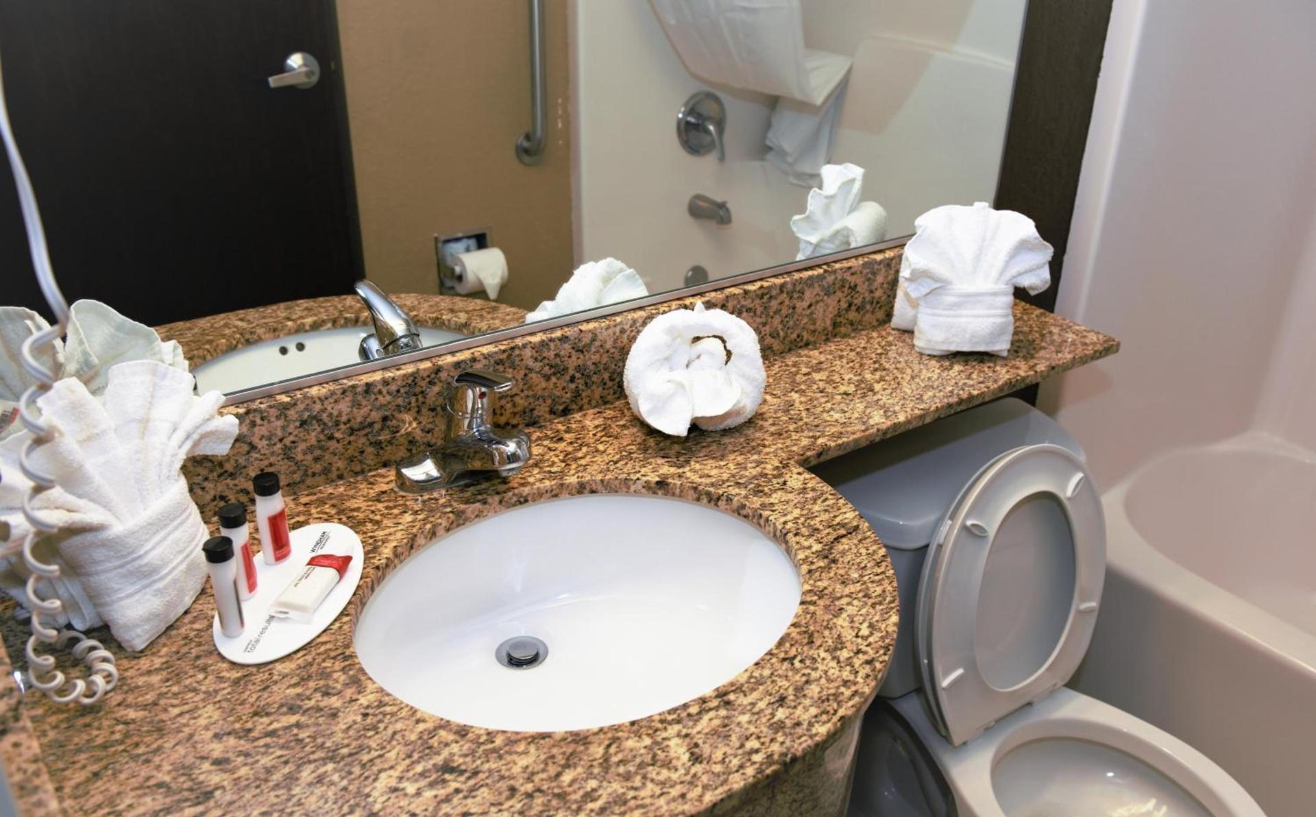 Microtel Inn & Suites by Wyndham Jacksonville Airport photo 33