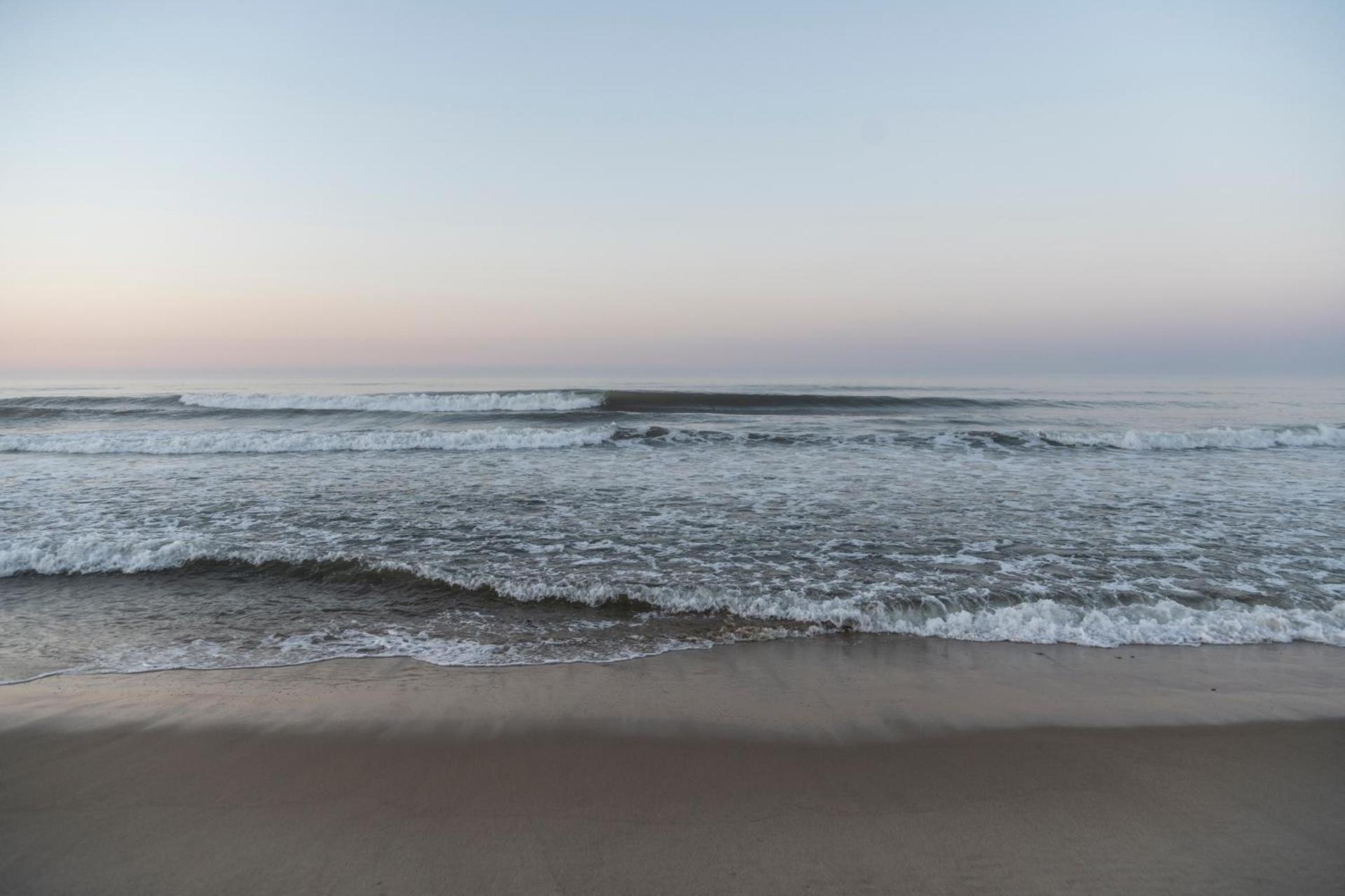 Marram photo 12