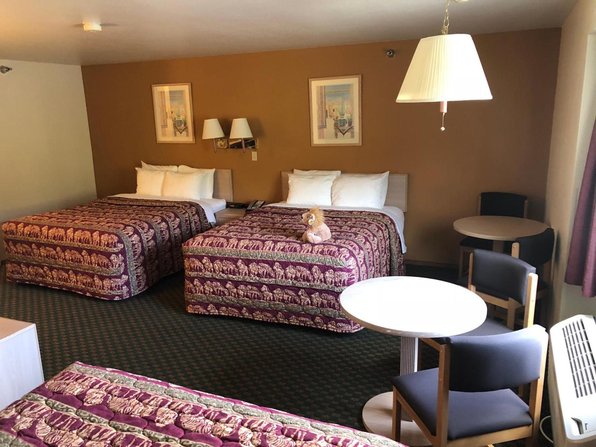 Kings Inn Cody photo 22