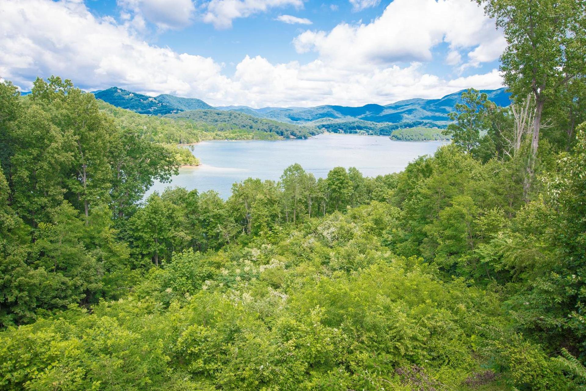 Lake Chatuge Lodge photo 13