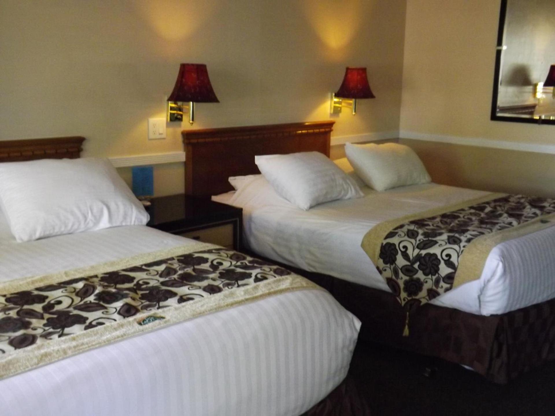 Sage Motel photo 17