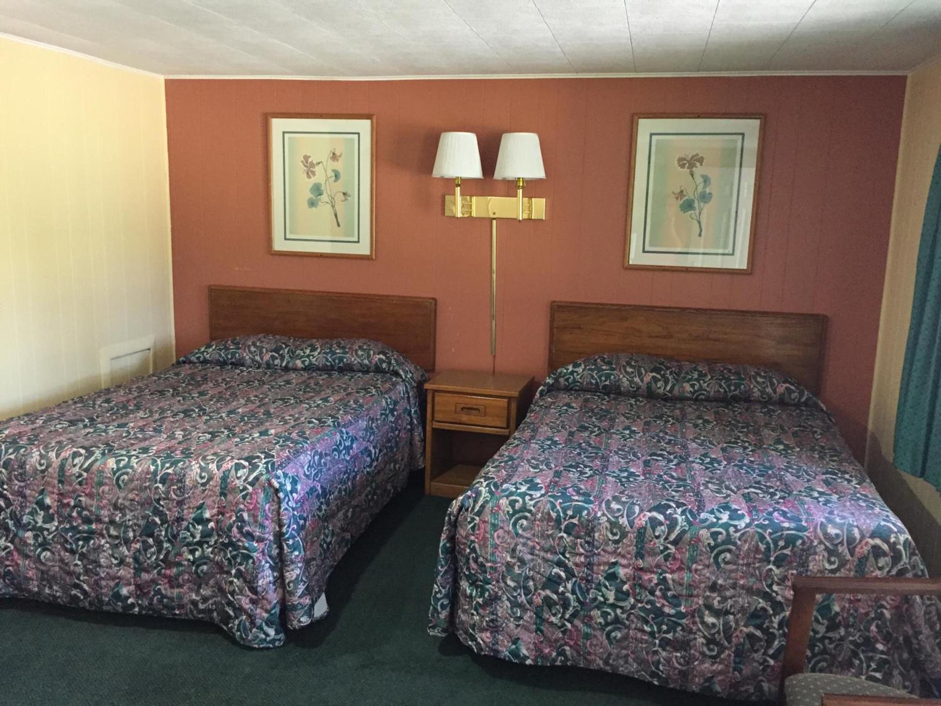Elmwood Motor Lodge photo 10