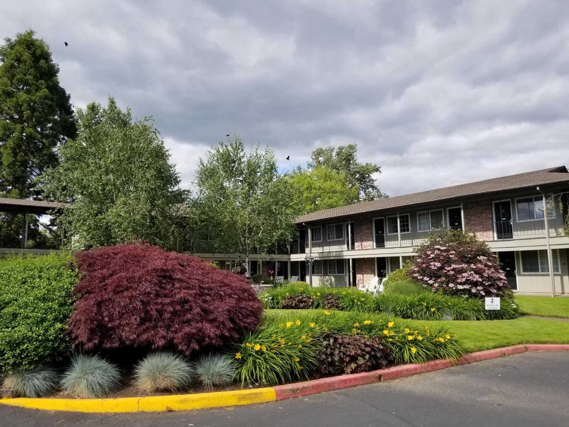 Village Inn photo 2