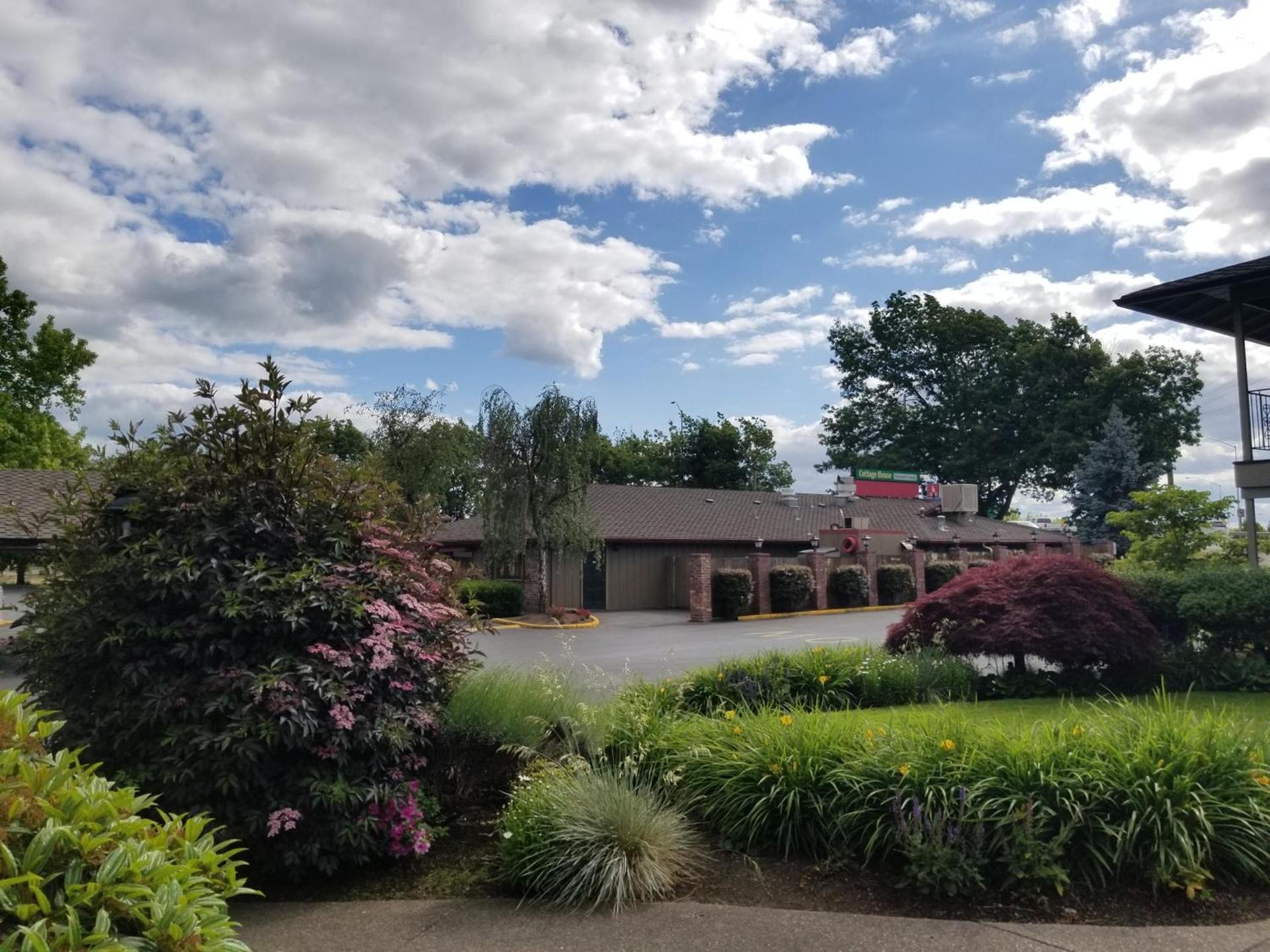 Village Inn photo 28