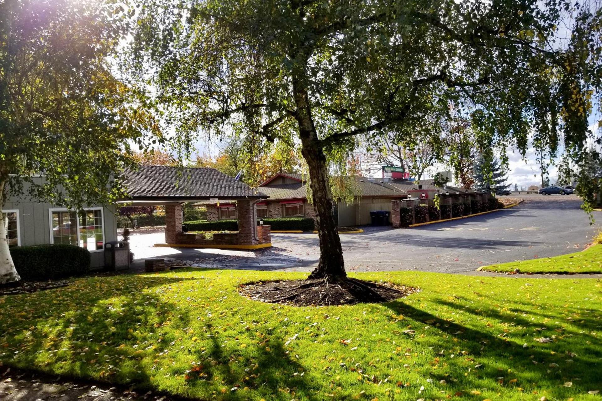 Village Inn photo 27
