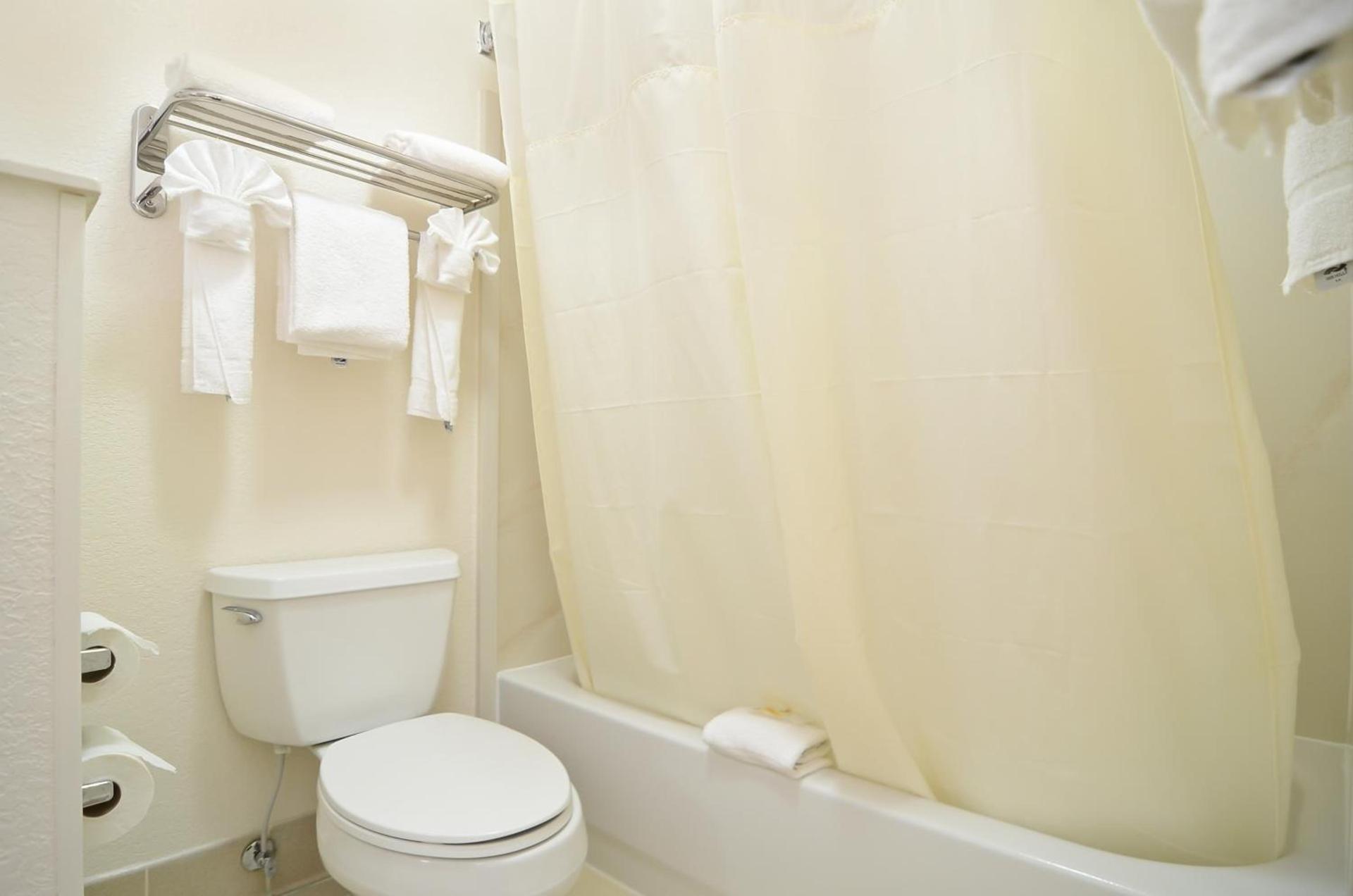 Quality Inn & Suites Biltmore East photo 25