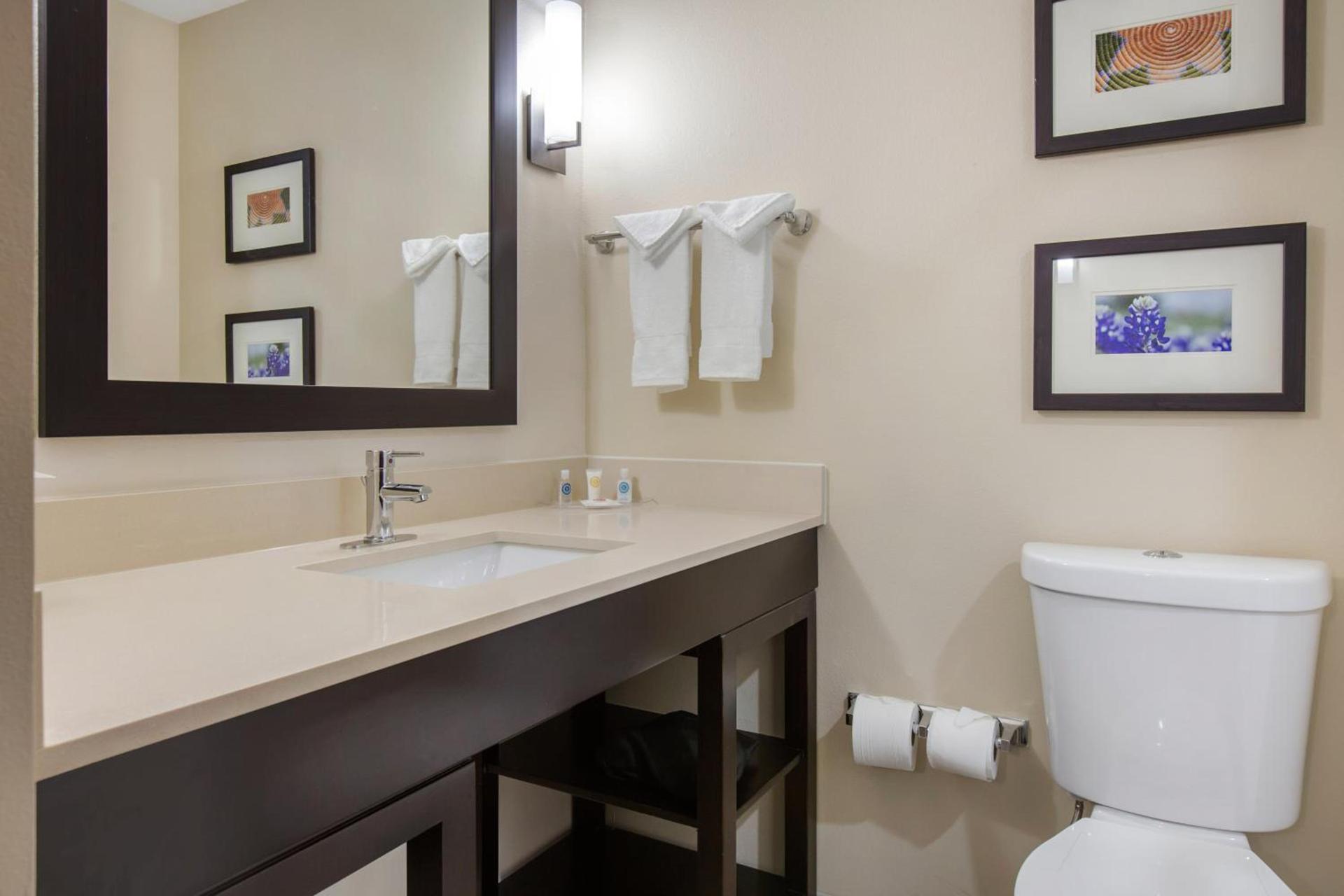 Comfort Suites - South Austin photo 20