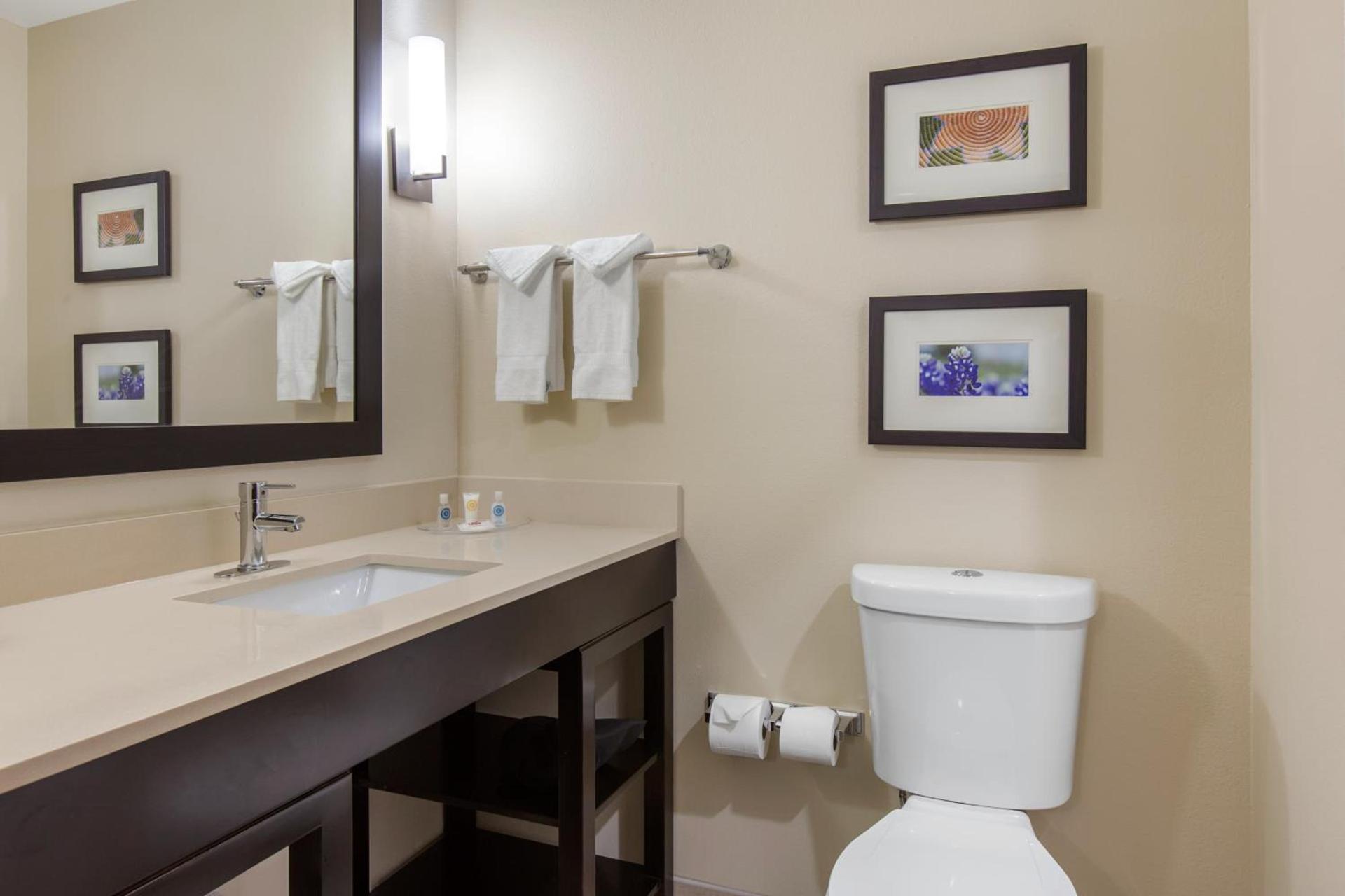 Comfort Suites - South Austin photo 19