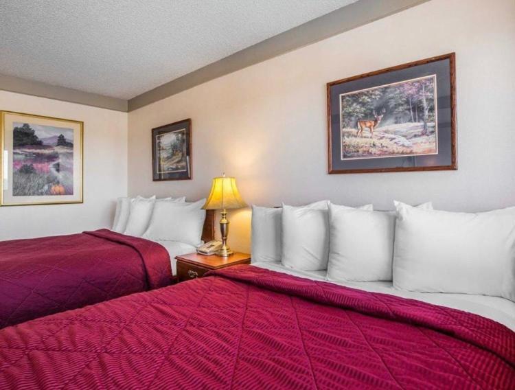 Value Lodge Inn photo 4