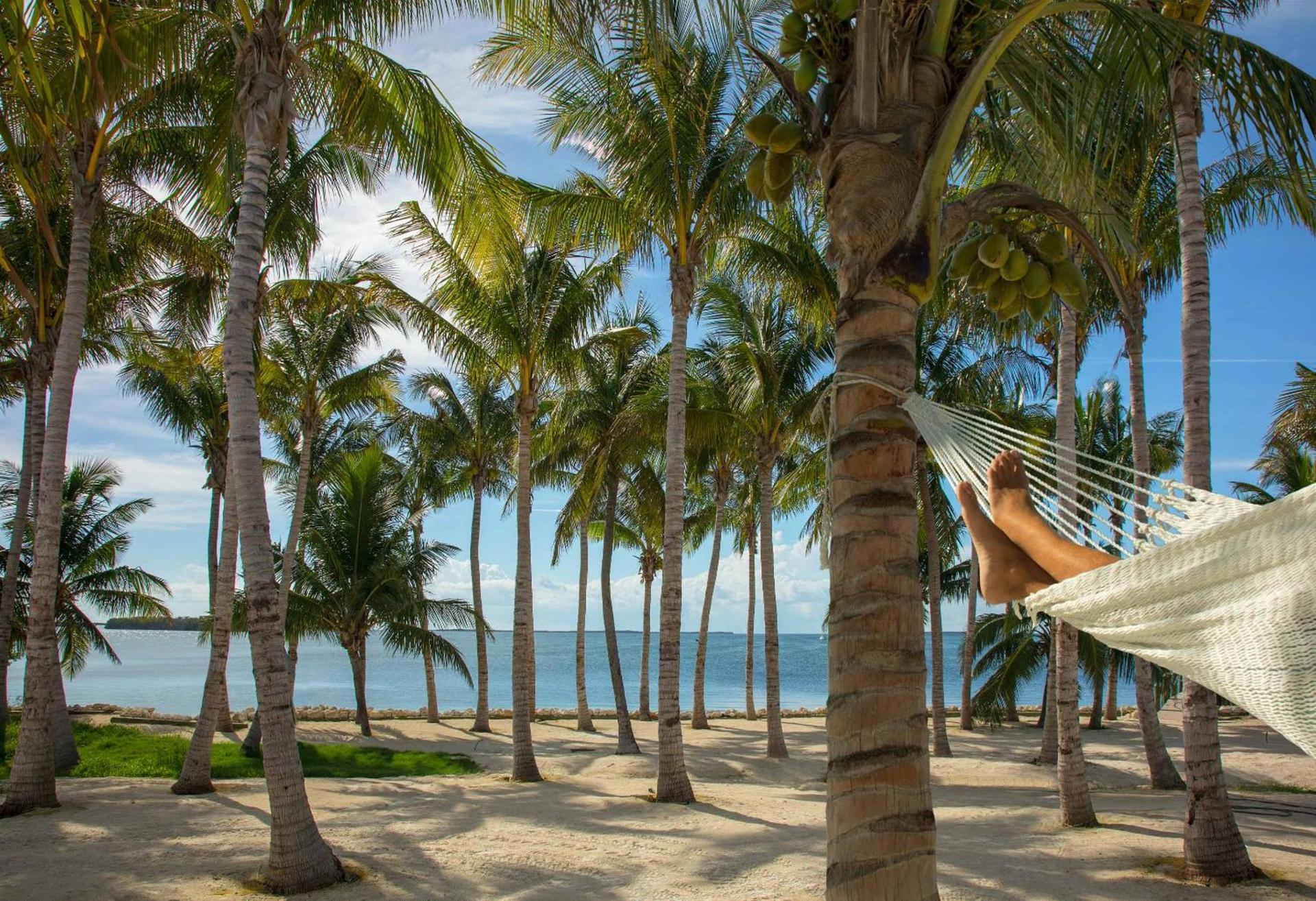 Bungalows Key Largo - All Inclusive photo 47