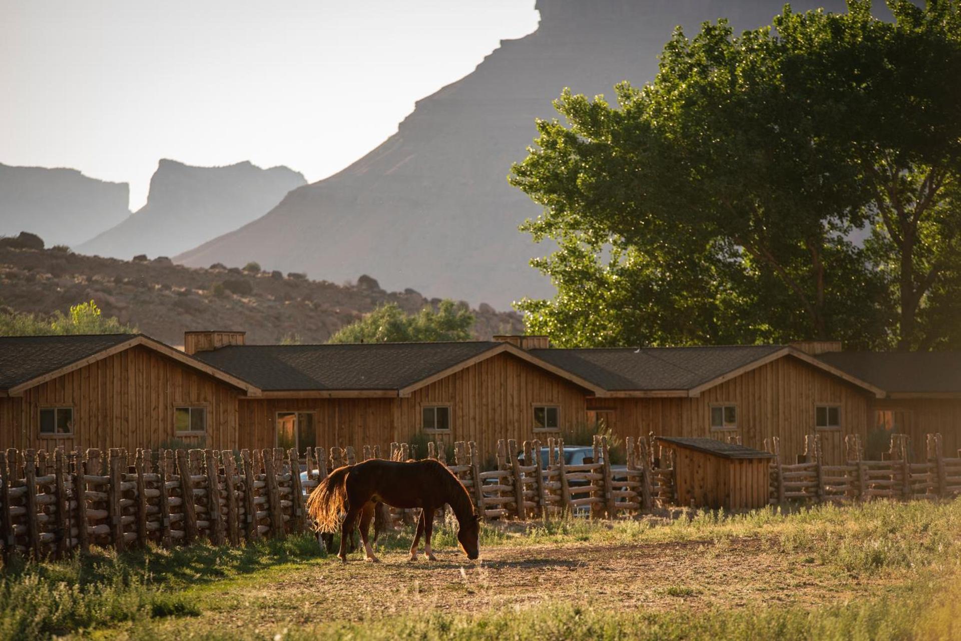 Red Cliffs Lodge Moab photo 11