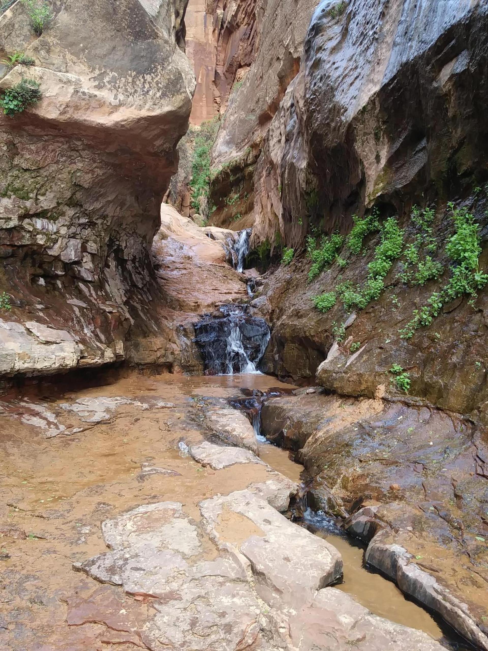 Zion’s Cozy Cabin's photo 11