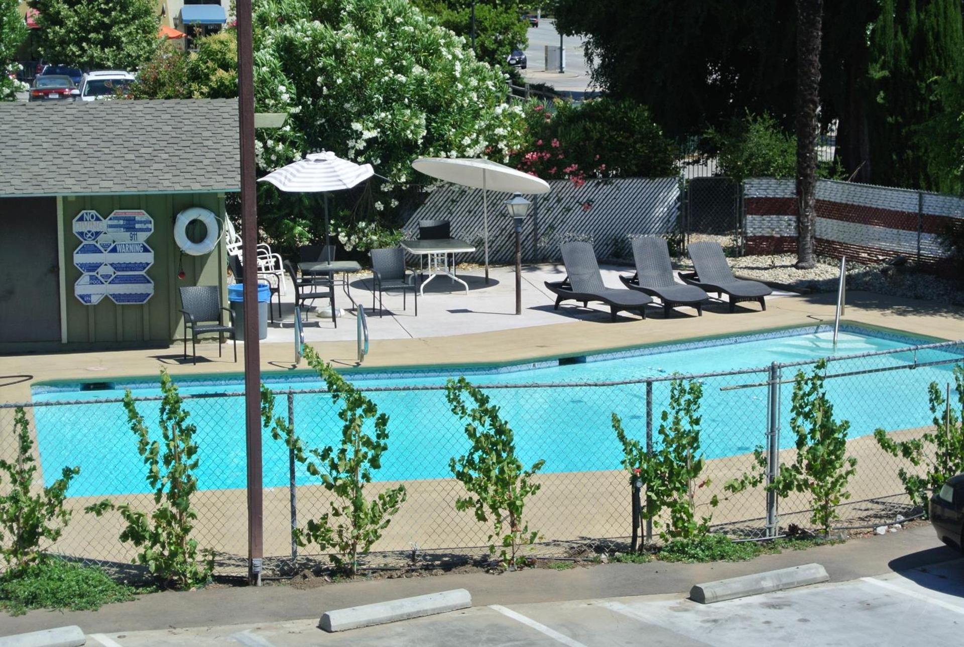 Vino Inn & Suites photo 11
