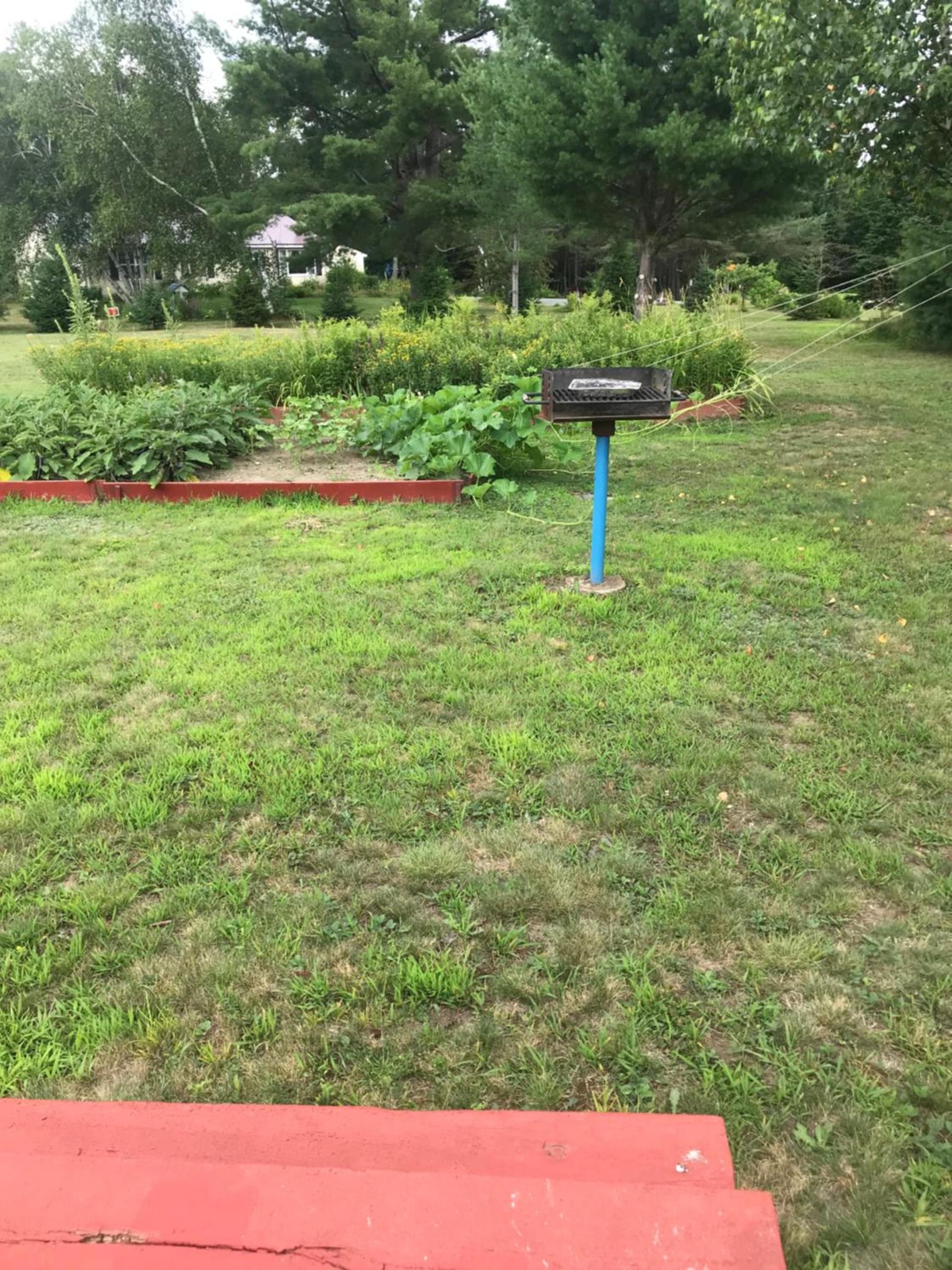 Four Seasons Motor Inn photo 41