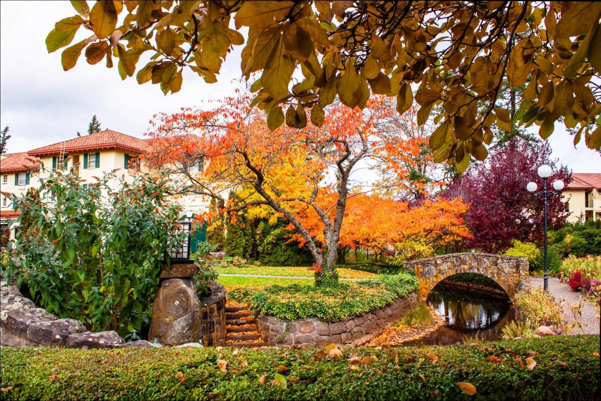 Columbia Gorge Hotel & Spa photo 3