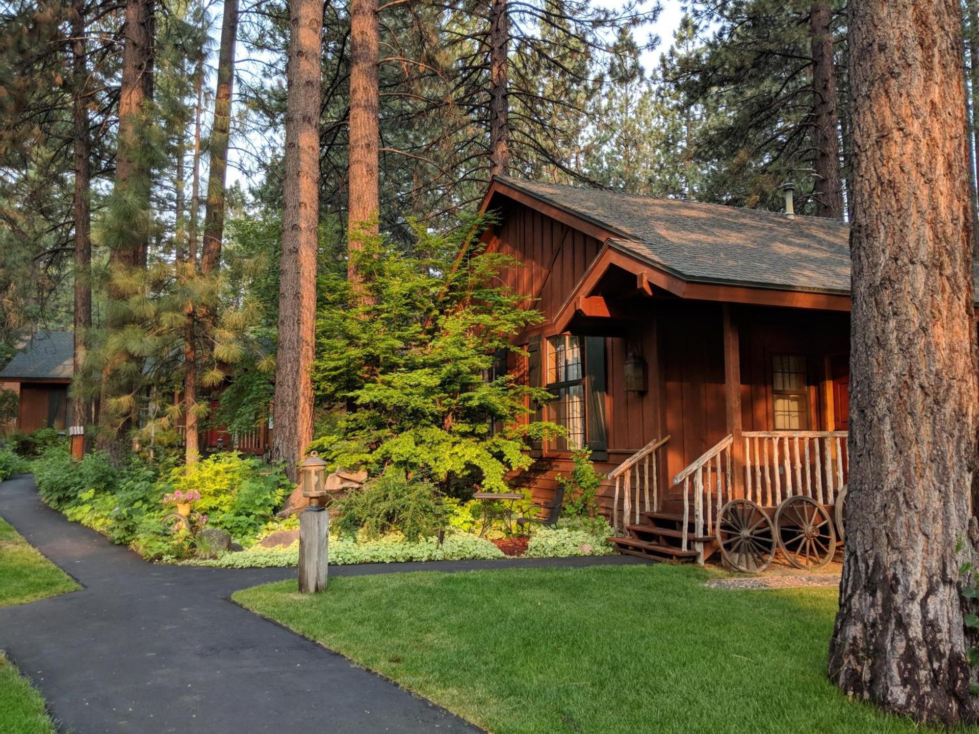 Black Bear Lodge photo 18
