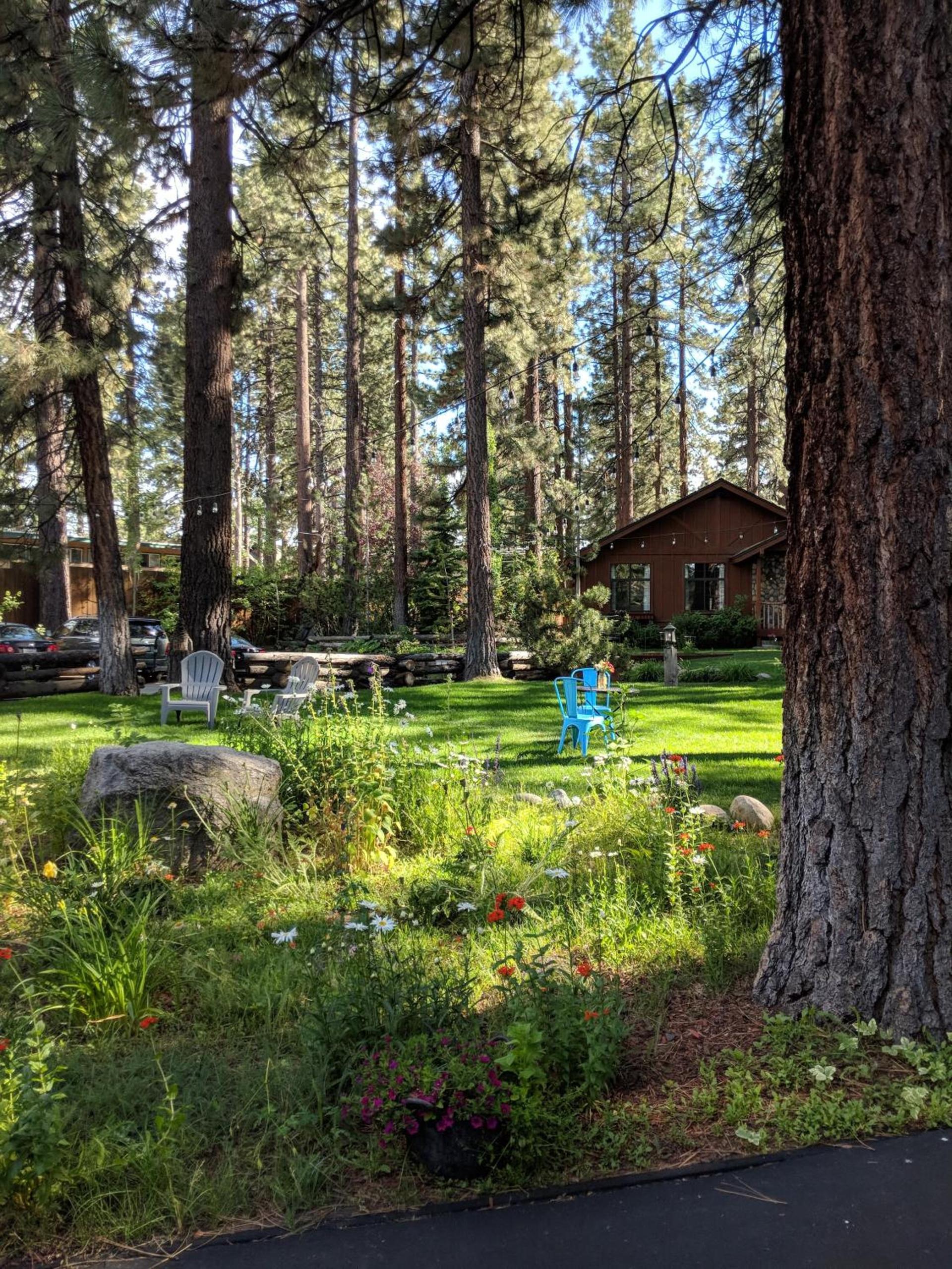 Black Bear Lodge photo 19