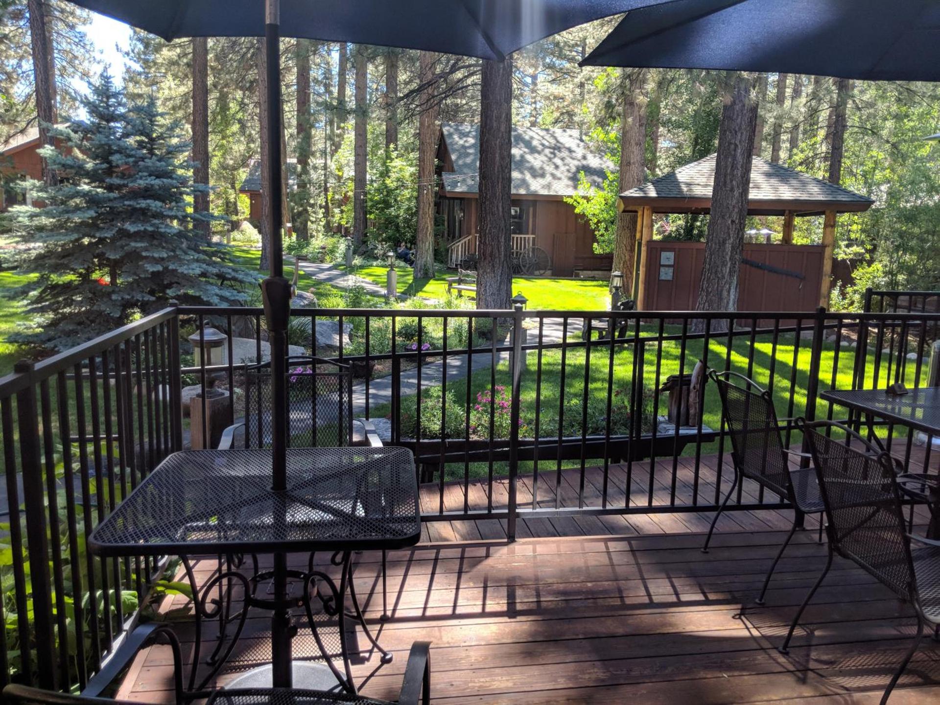 Black Bear Lodge photo 20