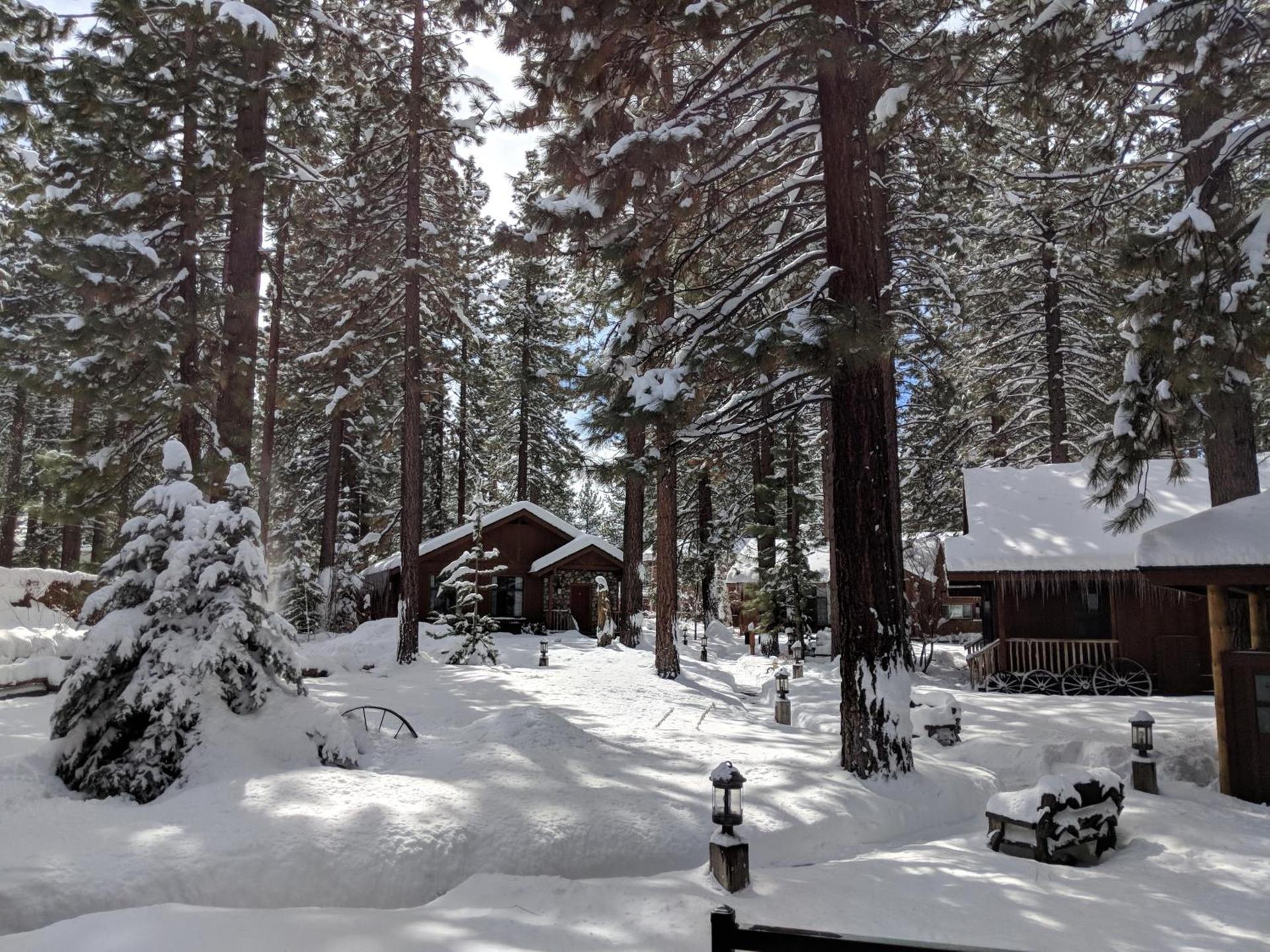 Black Bear Lodge photo 16