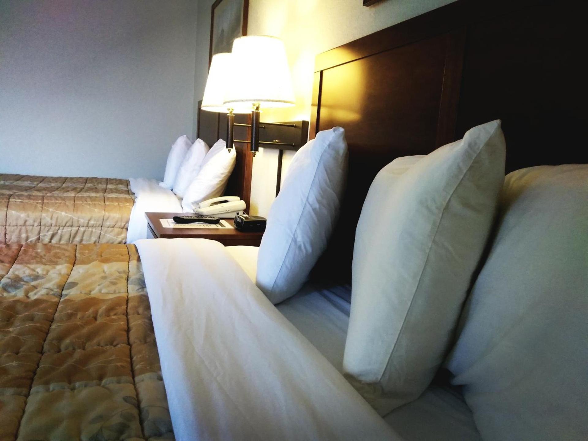 Madelia Hotel & Suites photo 37