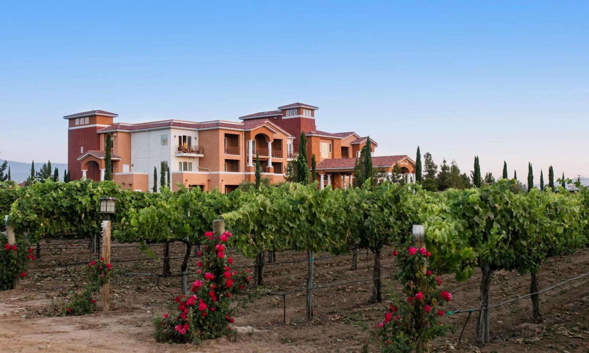 South Coast Winery Resort & Spa photo 36