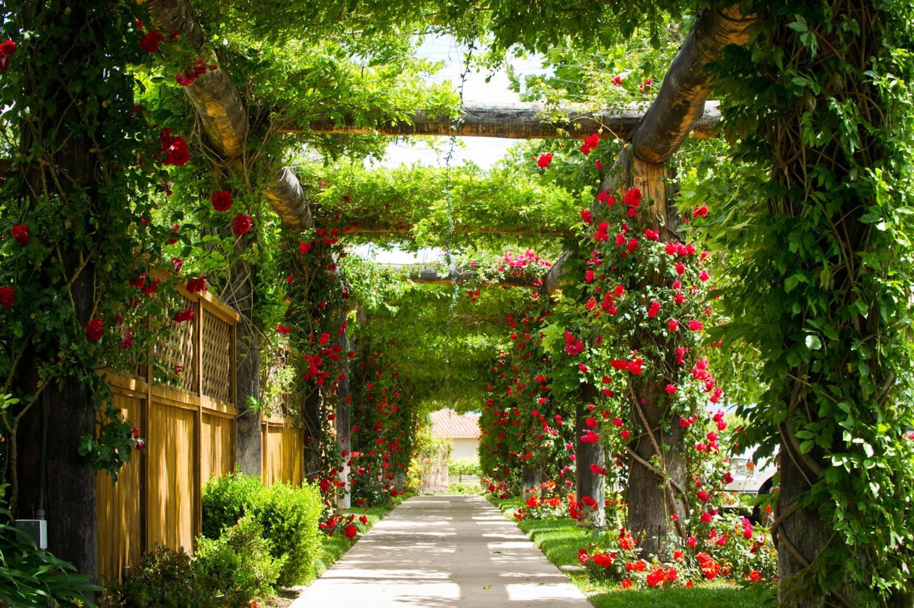 South Coast Winery Resort & Spa photo 34