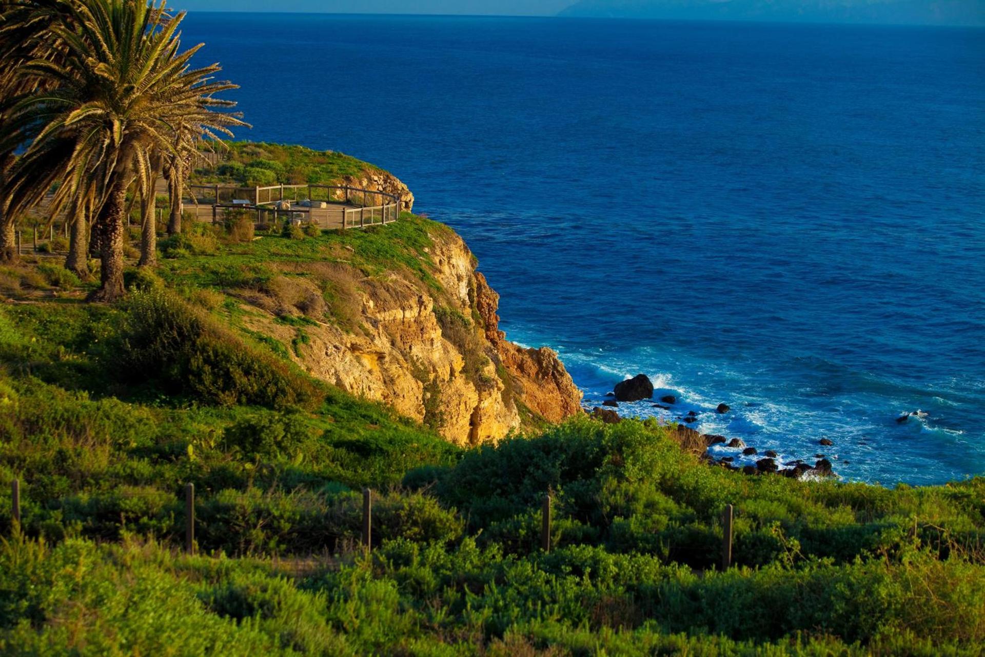 Terranea Resort photo 72