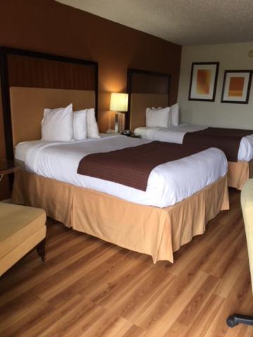 Royal Inn photo 18