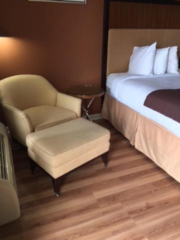 Royal Inn photo 17