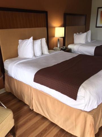 Royal Inn photo 16