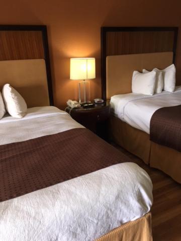 Royal Inn photo 15