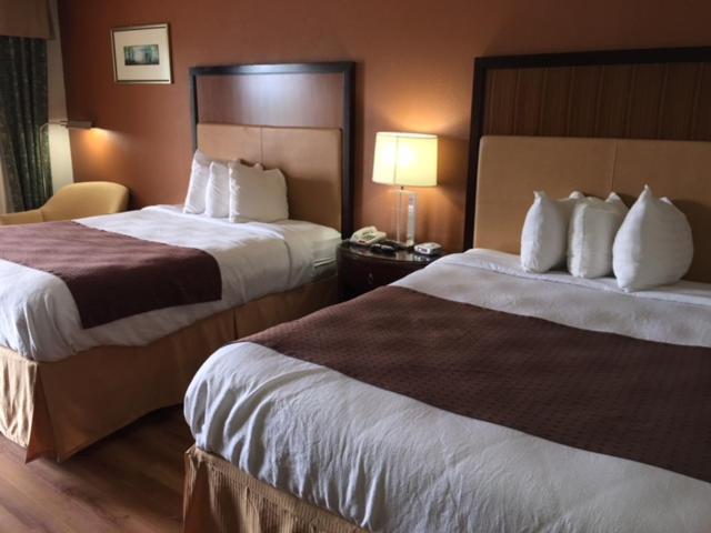 Royal Inn photo 14