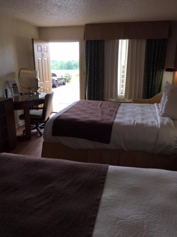 Royal Inn photo 11