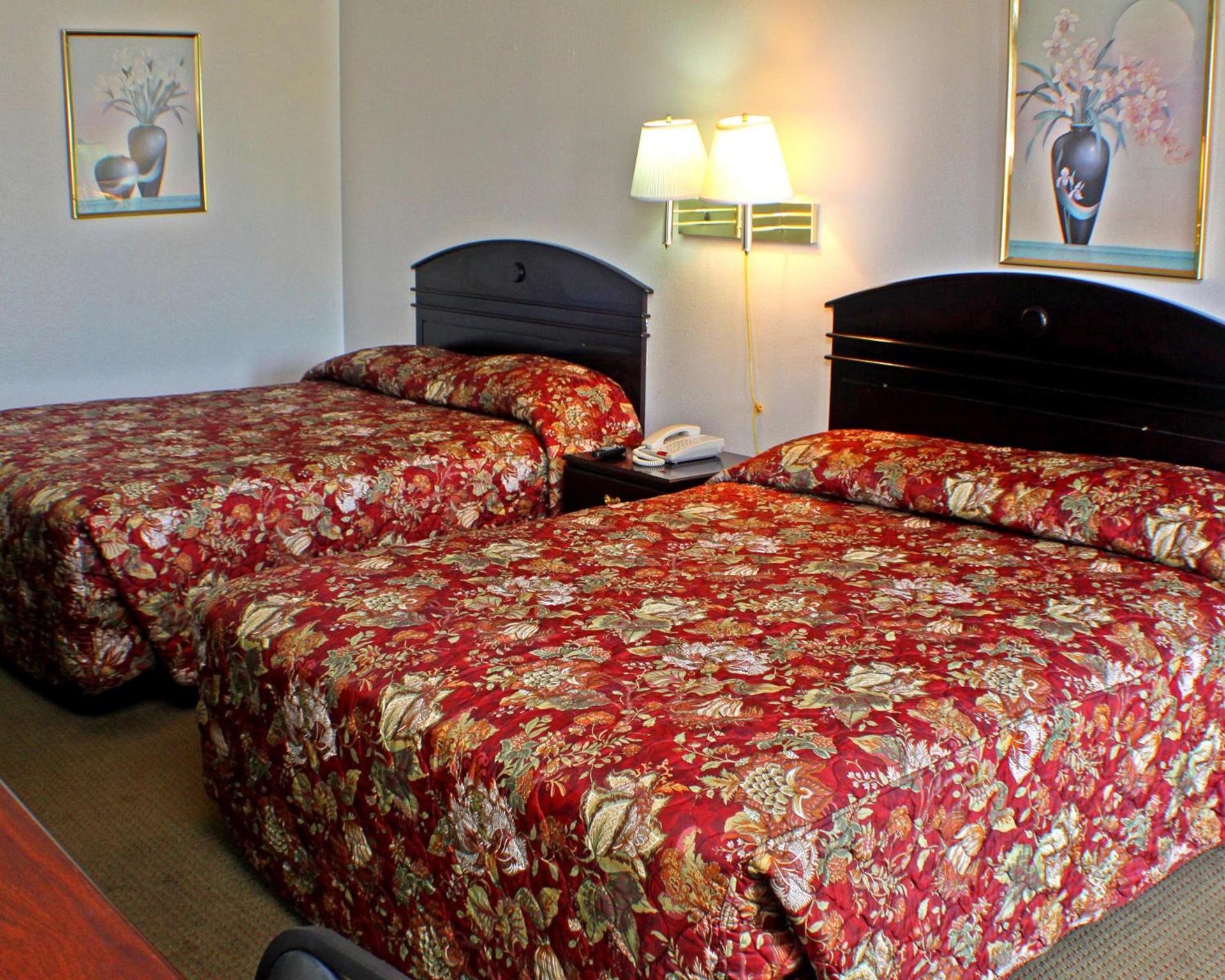 American Dream Inn photo 5