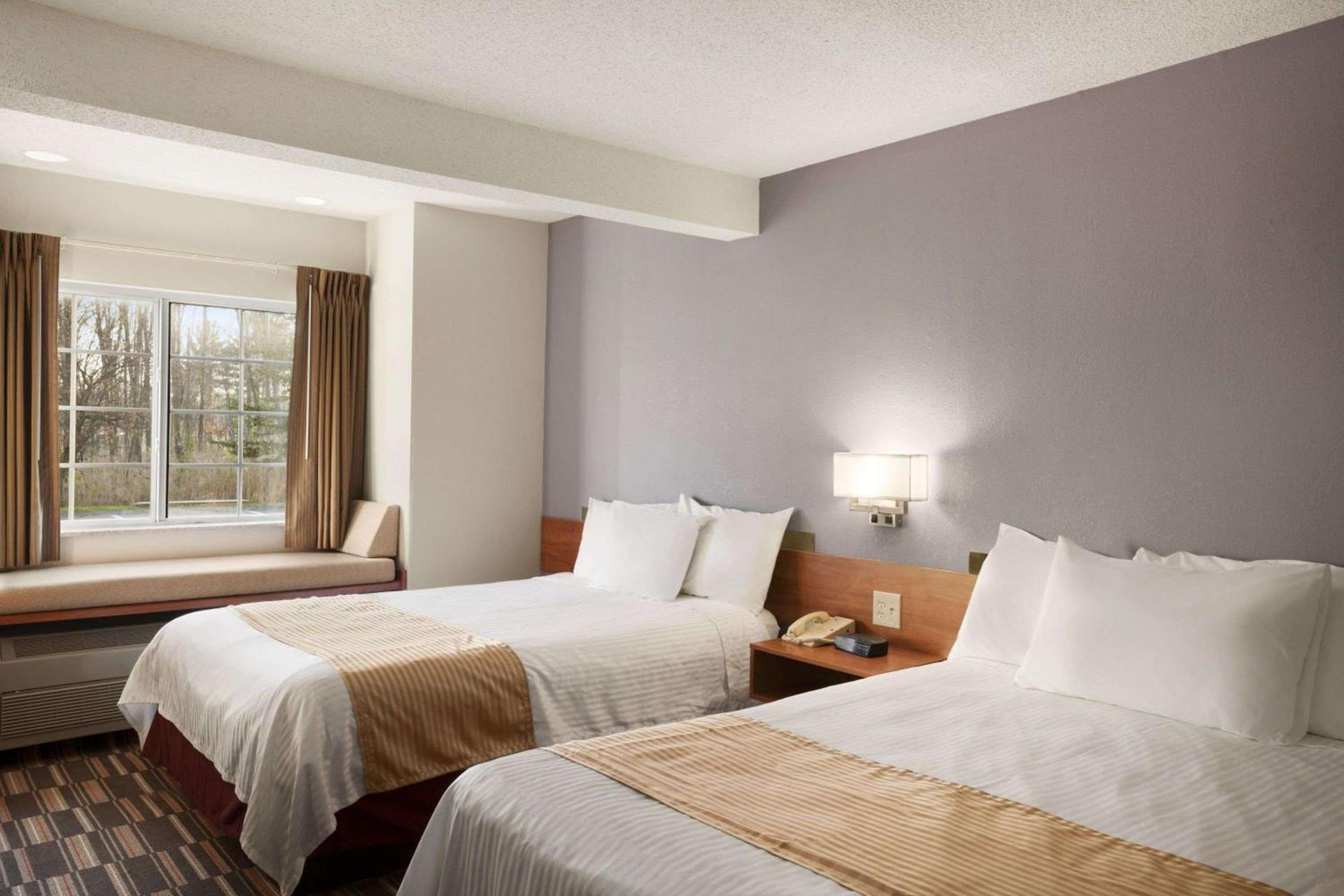 Microtel Inn by Wyndham - Albany Airport photo 8