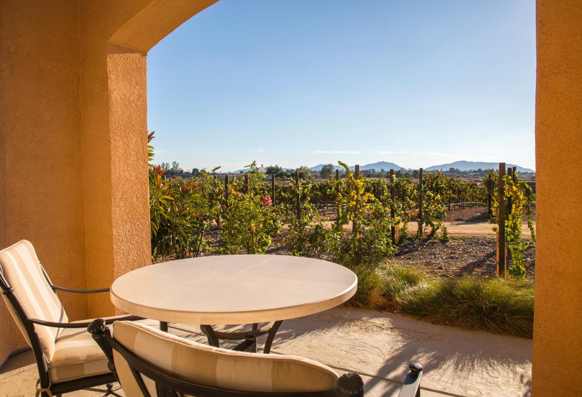Carter Estate Winery and Resort photo 6