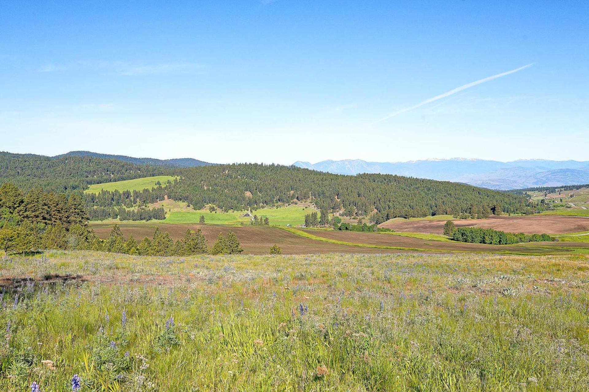 Eden Valley Ranch photo 8