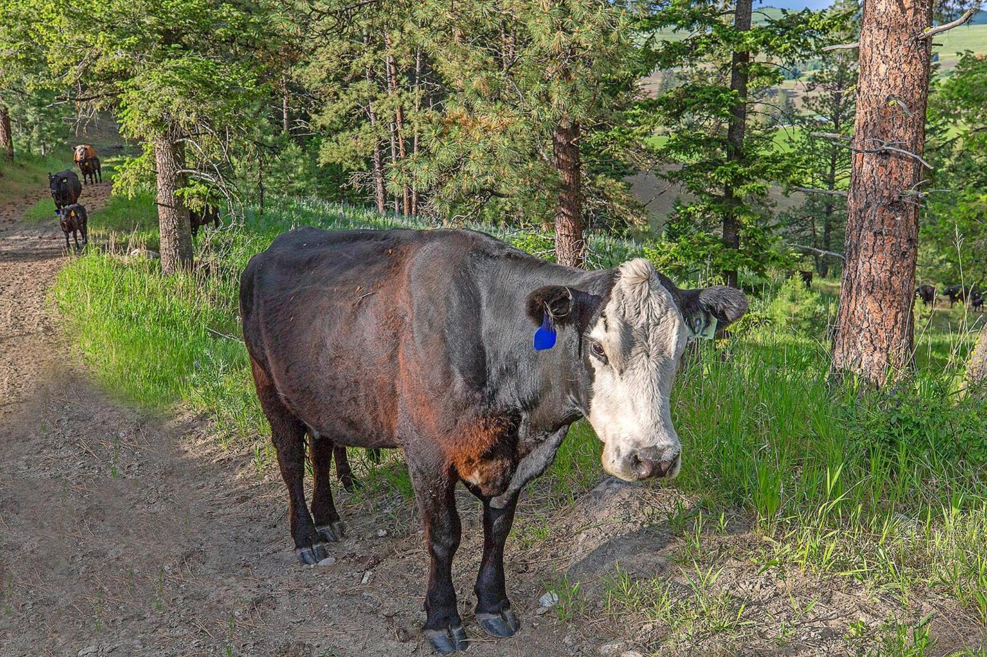 Eden Valley Ranch photo 37